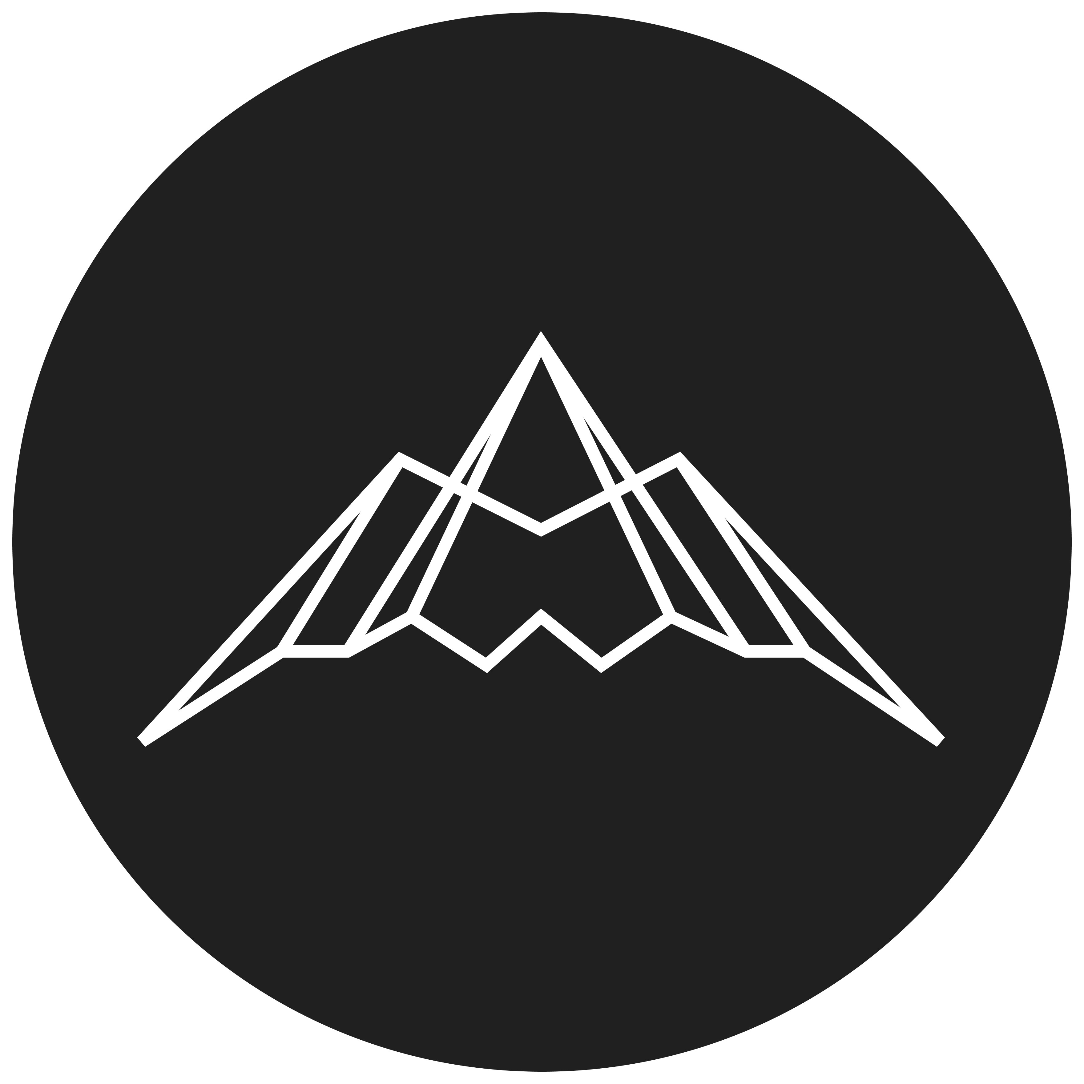 Stealth logo
